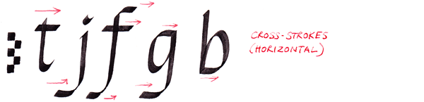 illustration of how to write italic lettering -- cross-strokes or horizontals