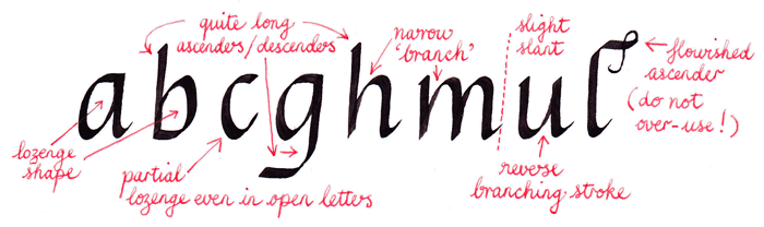 overview of italic calligraphy alphabet characteristics